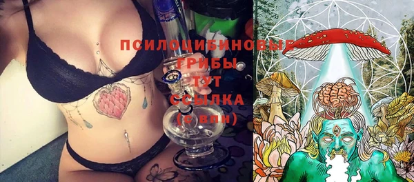 PSILOCYBIN Белоозёрский